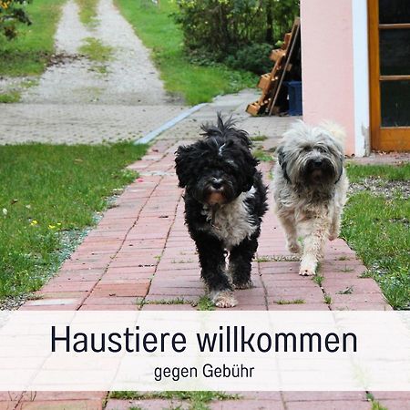 Seezeit Ferienwohnungen & Seminarhaus Am Ammersee Diessen am Ammersee Bagian luar foto