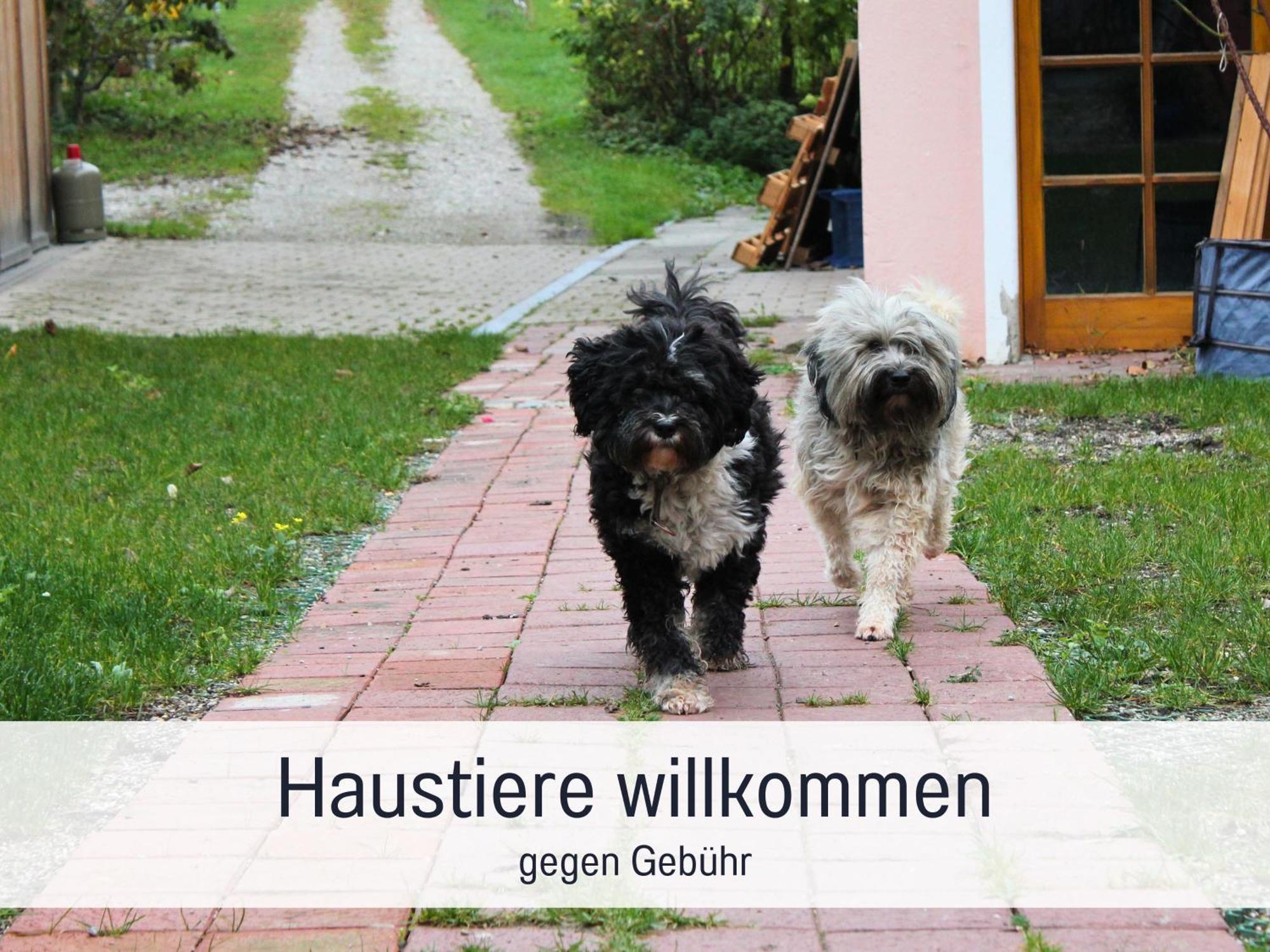 Seezeit Ferienwohnungen & Seminarhaus Am Ammersee Diessen am Ammersee Bagian luar foto